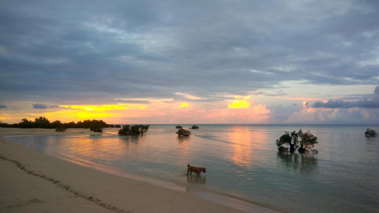 Ecoresort Sumba Dream Rindi Extérieur photo